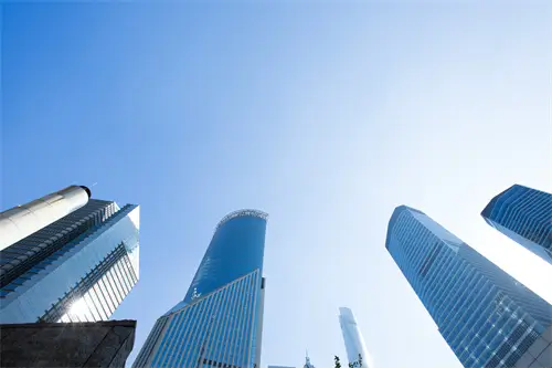 双生花什么含义啊